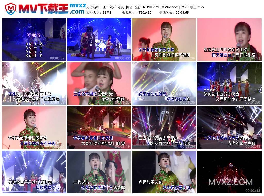 王二妮-在延安_国语_流行_MD103871